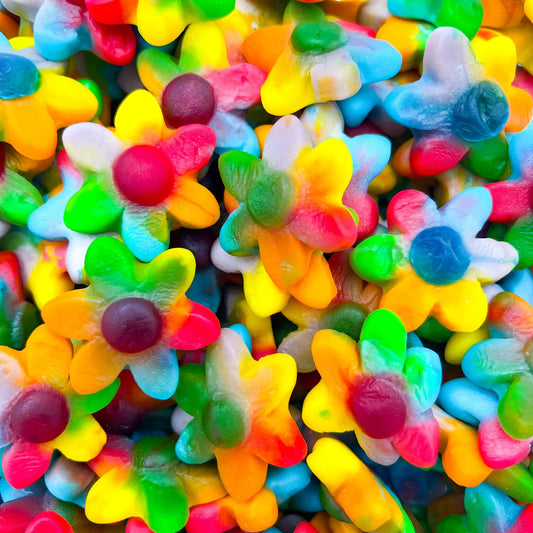 Fleurs Multicolore (100g)